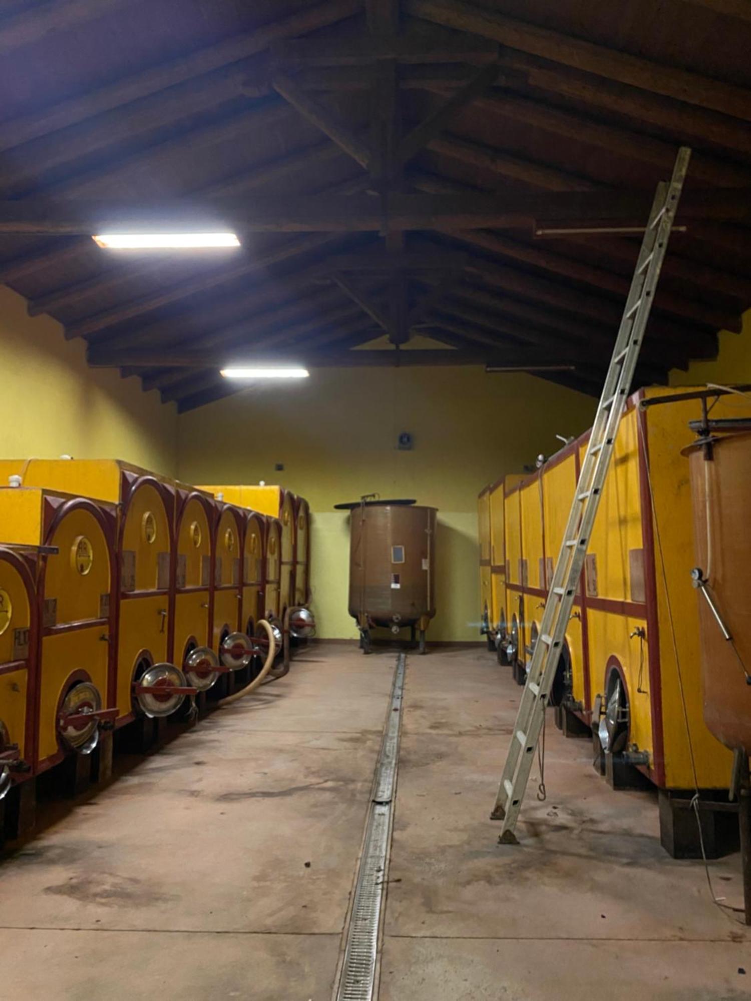 Tenuta Agricola La Cava- Cantina E Agriturismo San Damiano d'Asti Exterior photo